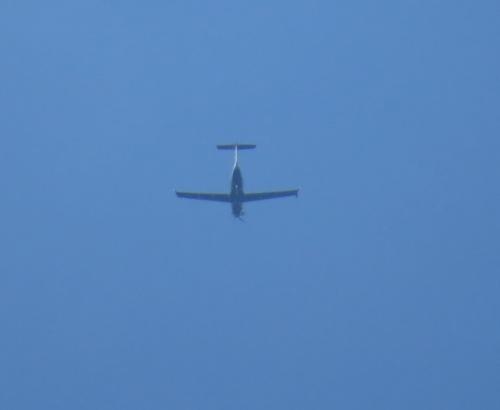 SmallAircraft-D-FALC-01