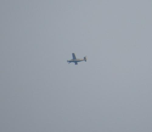SmallAircraft-D-FALK-01