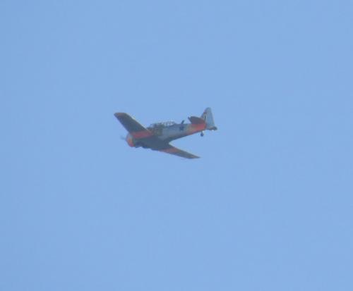 SmallAircraft-D-FASS-02
