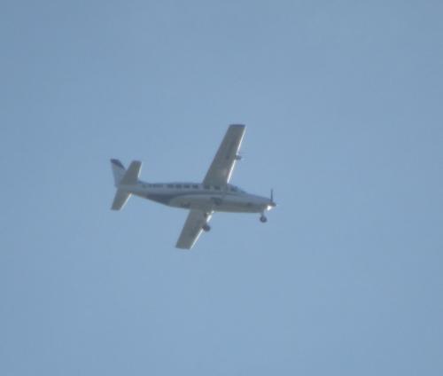 SmallAircraft-D-FBSF-01