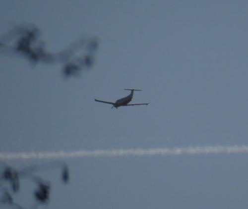 SmallAircraft-D-FEPG-01