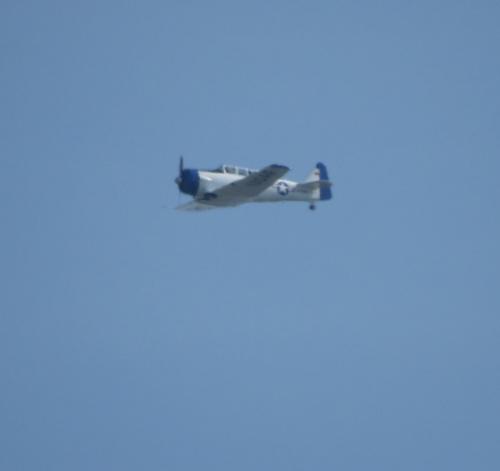 SmallAircraft-D-FUKK-04
