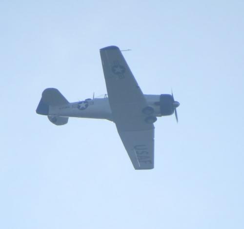 SmallAircraft-D-FUKK-08