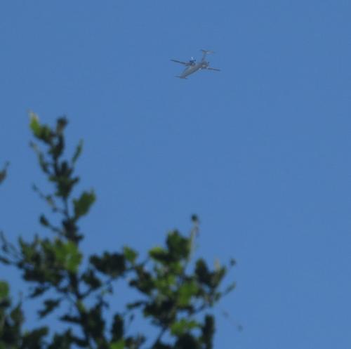 SmallAircraft-D-IGOB-01