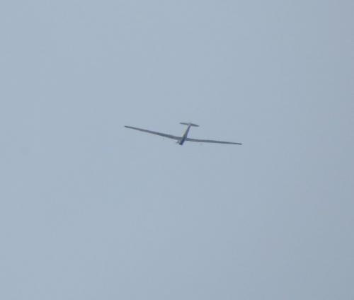 SmallAircraft-D-KOEA-01