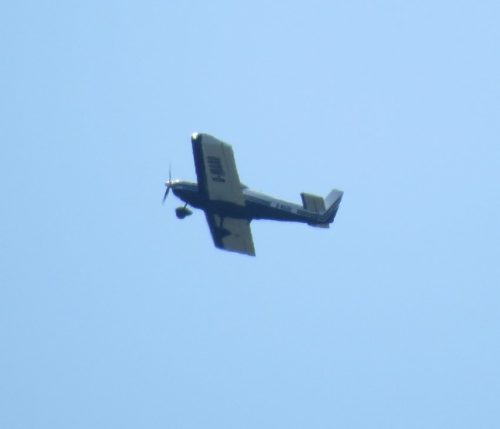 SmallAircraft-D-MAAO-01