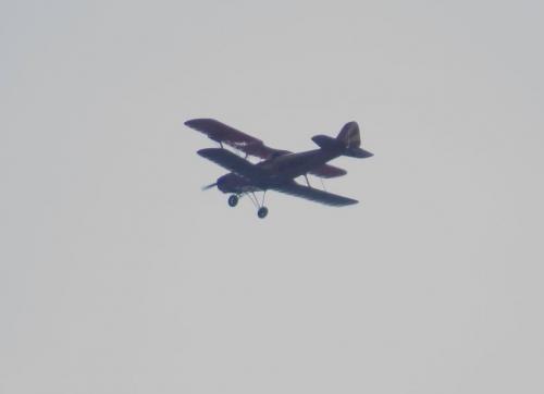 SmallAircraft-D-MAXT-01