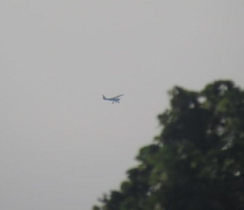 SmallAircraft-D-MCKP-01