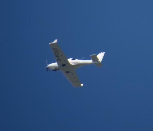 SmallAircraft-D-MDLD-02