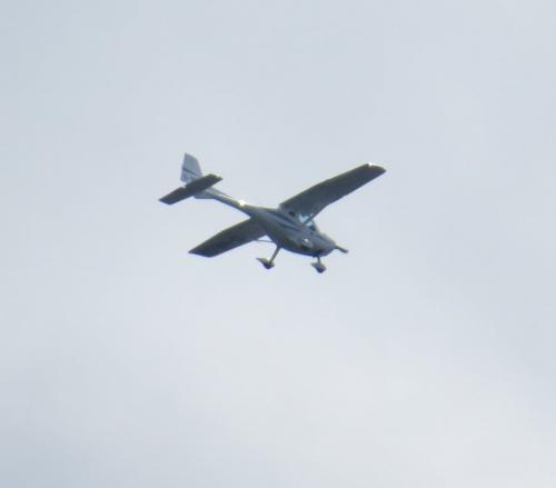 SmallAircraft-D-MEGX-01
