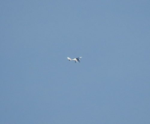 SmallAircraft-D-MEOR-01