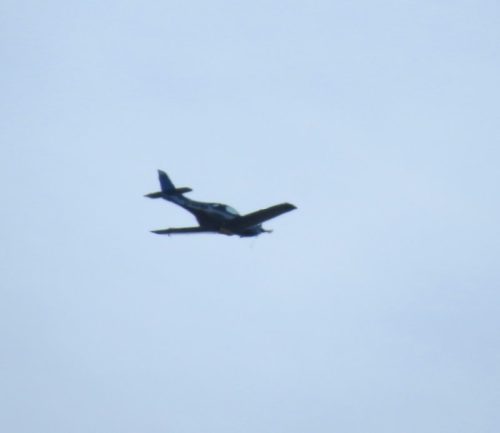 SmallAircraft-D-MHEK-01