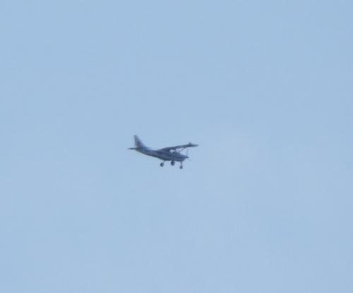 SmallAircraft-D-MOEV-01