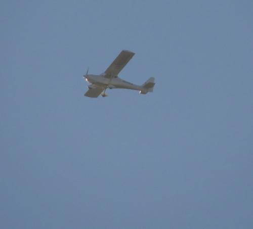 SmallAircraft-D-MOGG-01