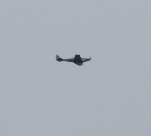 SmallAircraft-D-MQFF-01