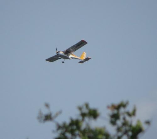 SmallAircraft-D-MSAC-01