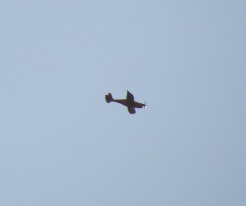 SmallAircraft-D-MSKV-01