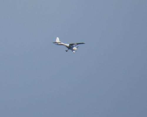 SmallAircraft-D-MSNX-01