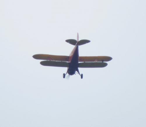 SmallAircraft-F-AYLJ-03