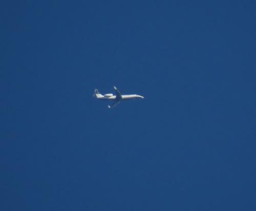 SmallAircraft-F-HFKD-01