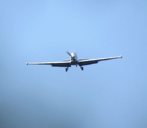 SmallAircraft-G-BEWO-01