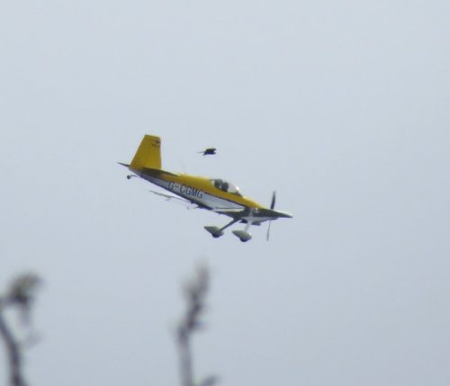 SmallAircraft-G-CGMG-03