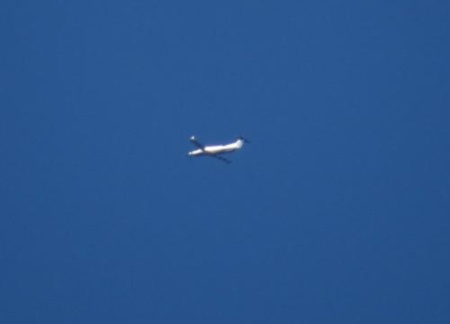 SmallAircraft-HB-FRD-01