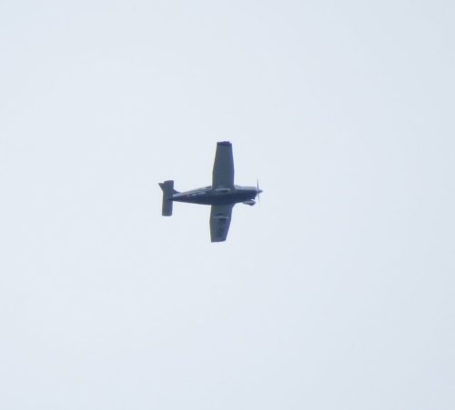 SmallAircraft-HB-PRM-01 (1)