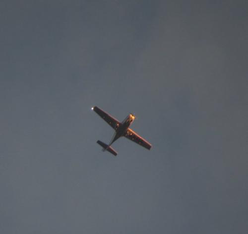 SmallAircraft-LN-ELG-02