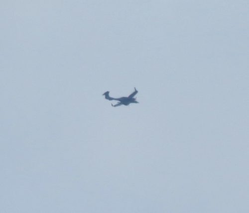 SmallAircraft-LN-SMF-01