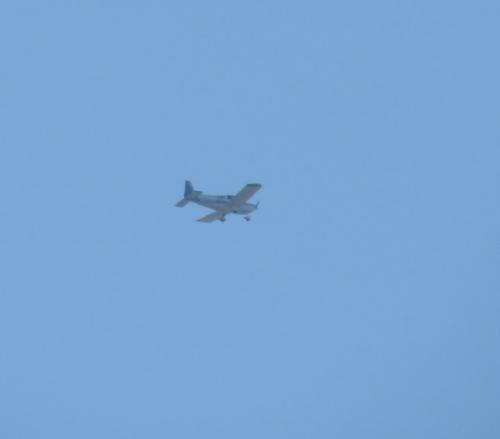SmallAircraft-N123ES-01
