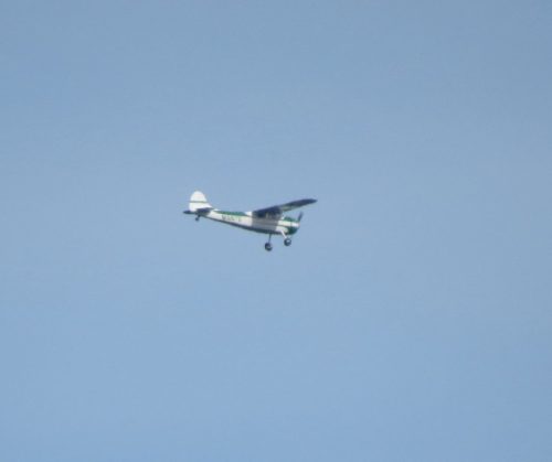 SmallAircraft-N1567D-01