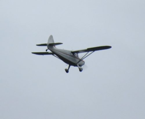 SmallAircraft-N1947S-02
