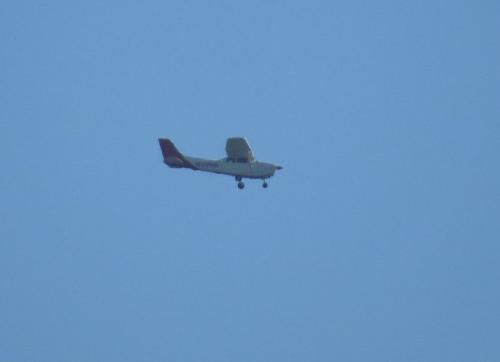 SmallAircraft-N20981-01