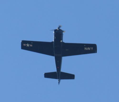 SmallAircraft-N228MC-01