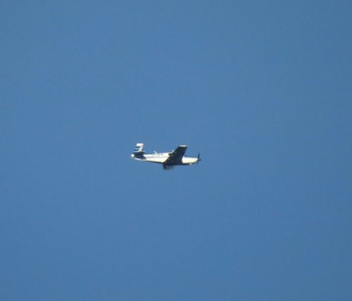 SmallAircraft-N310FW-01