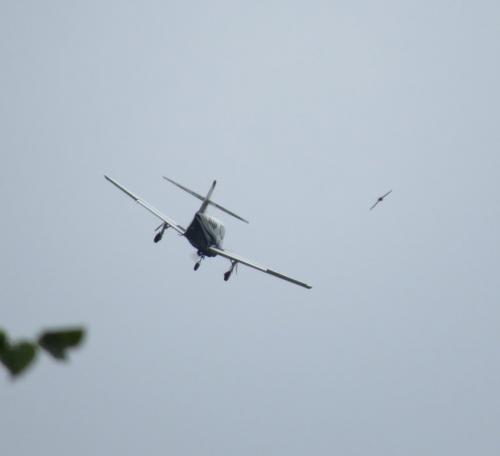 SmallAircraft-N44NP-06