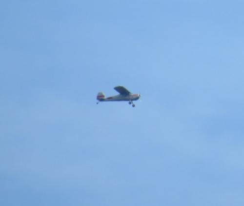 SmallAircraft-N81077-01