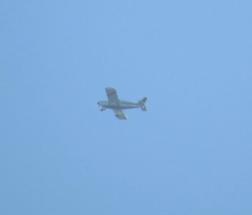 SmallAircraft-N8121W-01