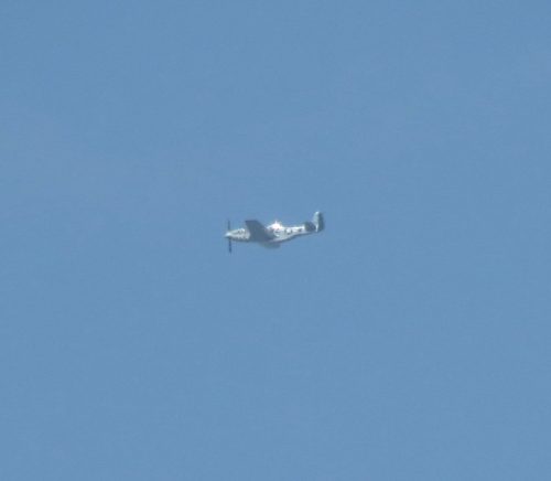 SmallAircraft-OO-NZW-01