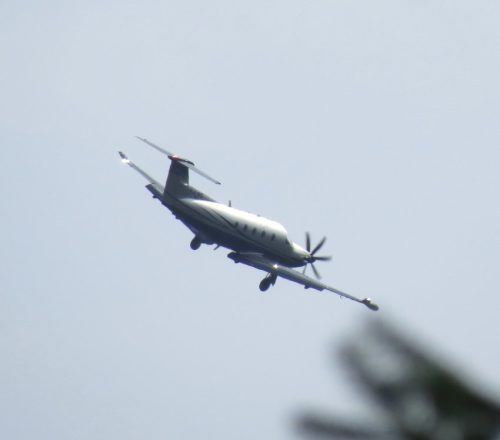 SmallAircraft-OY-LPF-01