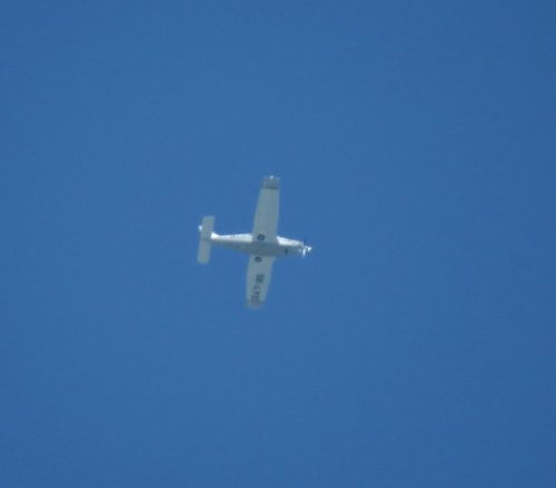 SmallAircraft-SE-LYE-01