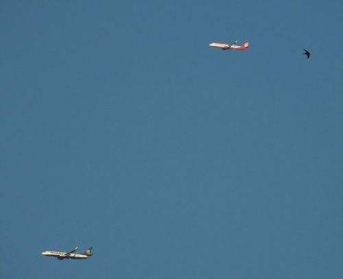 2016 001 MehrereFlugzeuge