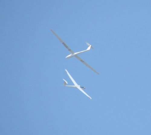 2016 008 D-6603D-9459