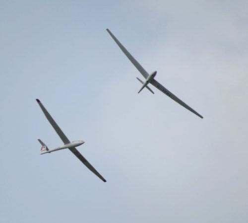 2017 004 D-1721D-5008