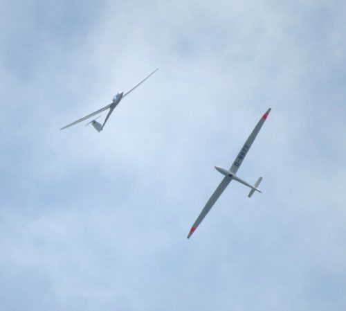 2017 007 D-8977D-9618