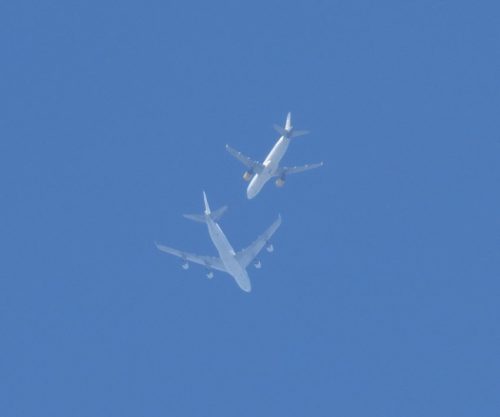 2019 001 VuelingAirlines