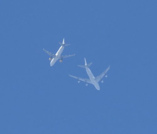 2019 002 VuelingAirlines