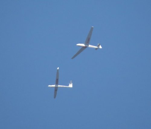 2019 003 D-0663D-3396
