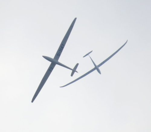 2019 005 D-1147D-KDSN
